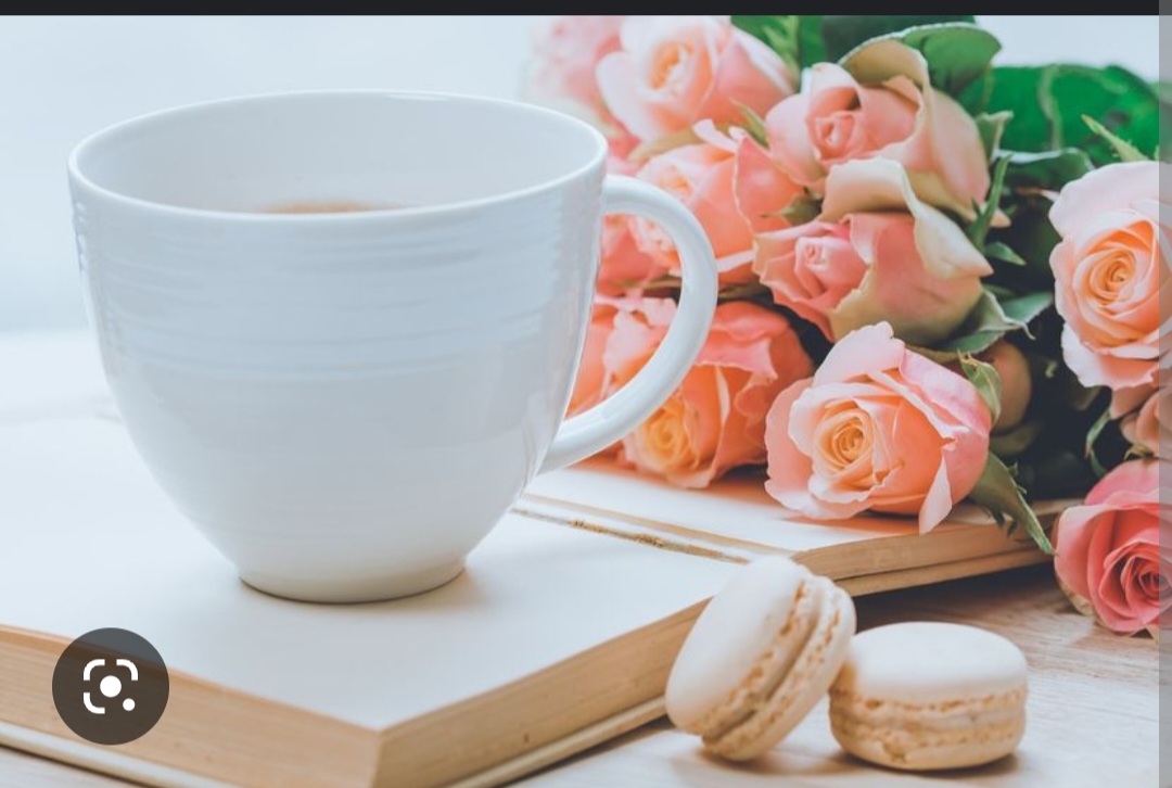 Screenshot_20221121-115200_Chrome