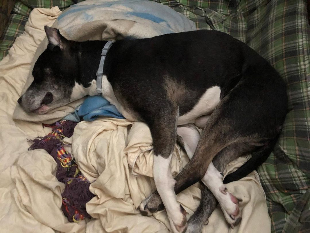 0164F41B-BF49-4BCB-B3EE-19E8E48AF3CD