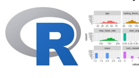 R Programming for Data Science for Absolute Beginners [2020]