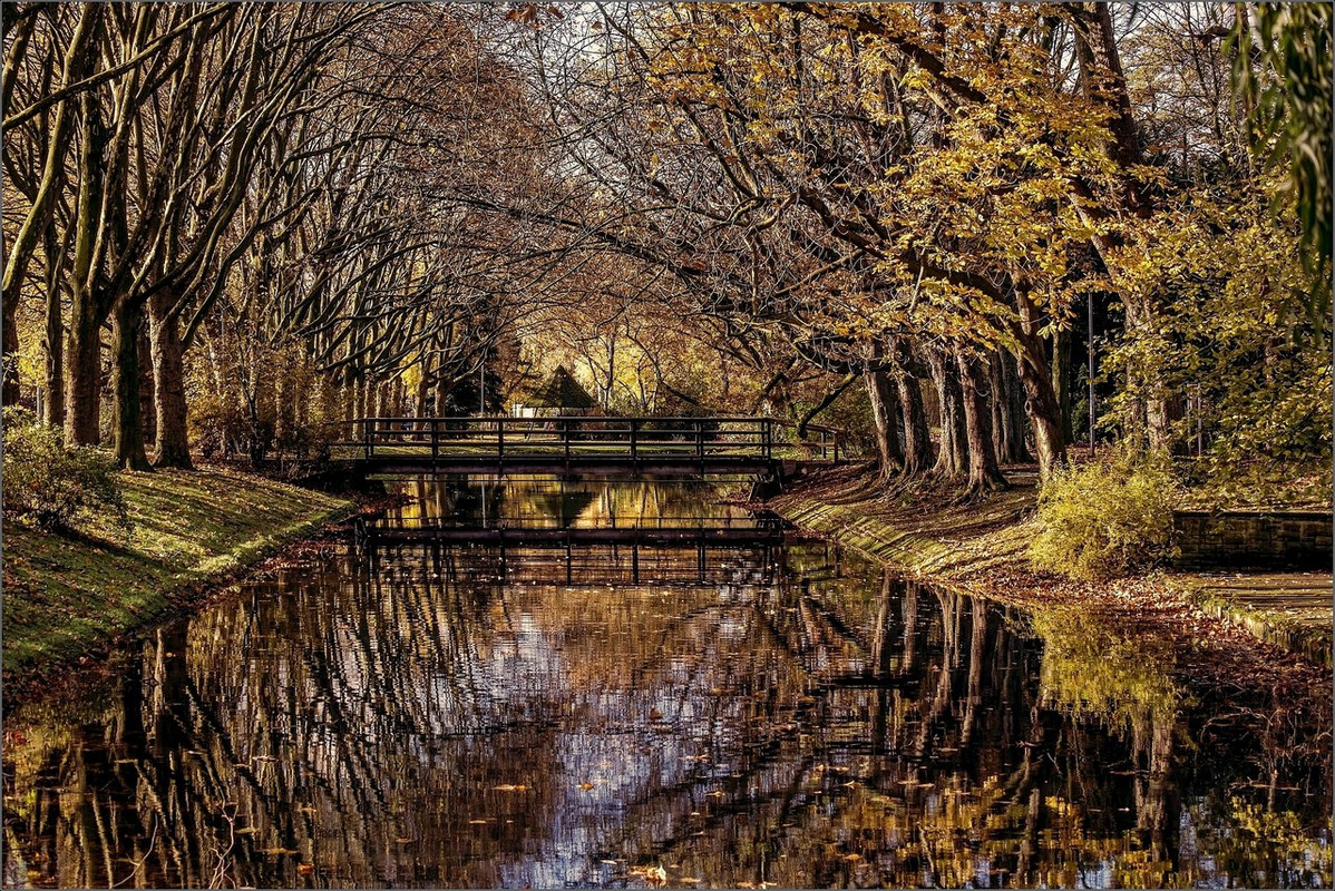 X-T20 DSCF3640-Bearbeitet 2017 BOT Strünkede LR ERWZ FB