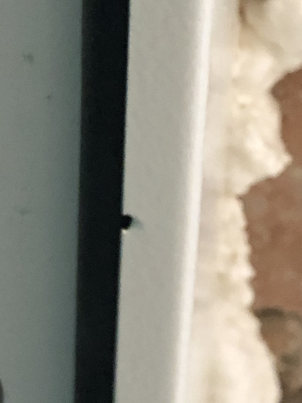 83088A48-A947-48AC-92AC-07EF9C0A09FB