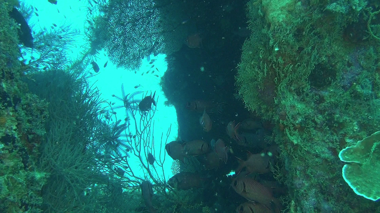 vlcsnap-2023-12-21-20h48m38s487