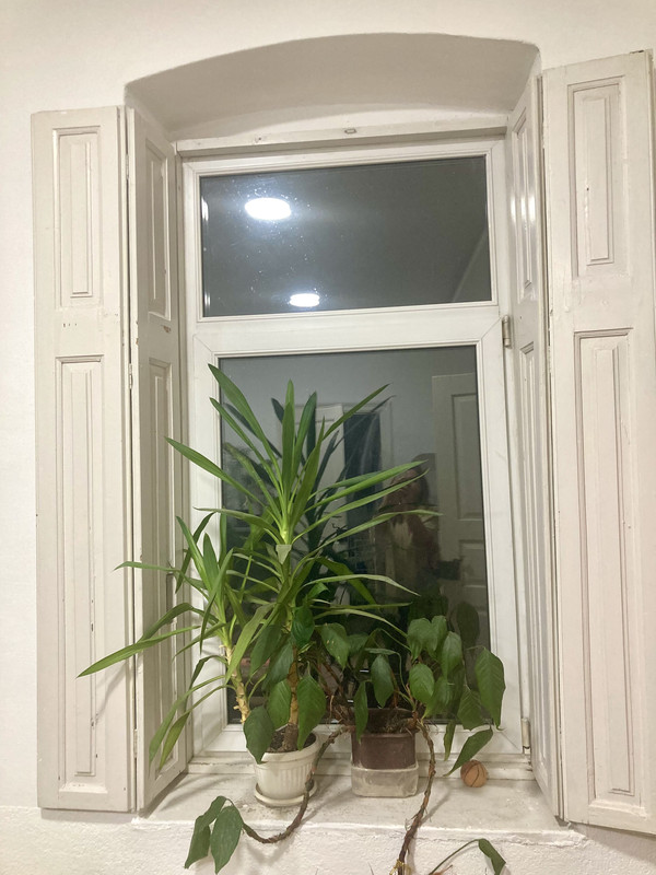 3EBFFC73-2968-4B60-BC7F-1C166E156ABA