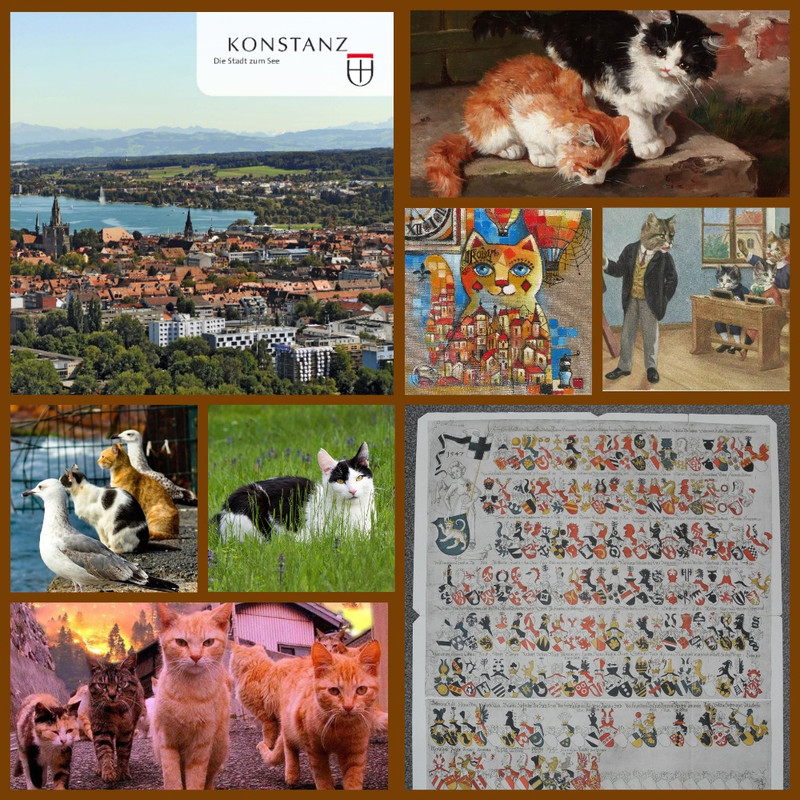 коллаж_констанц_коты