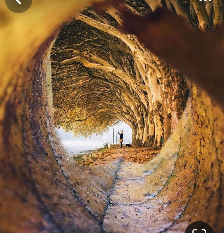 Screenshot_20231128_181725_Pinterest