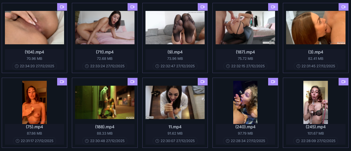 ✨ Shaiden Rogue Huge Premium Archive❤️‍🔥