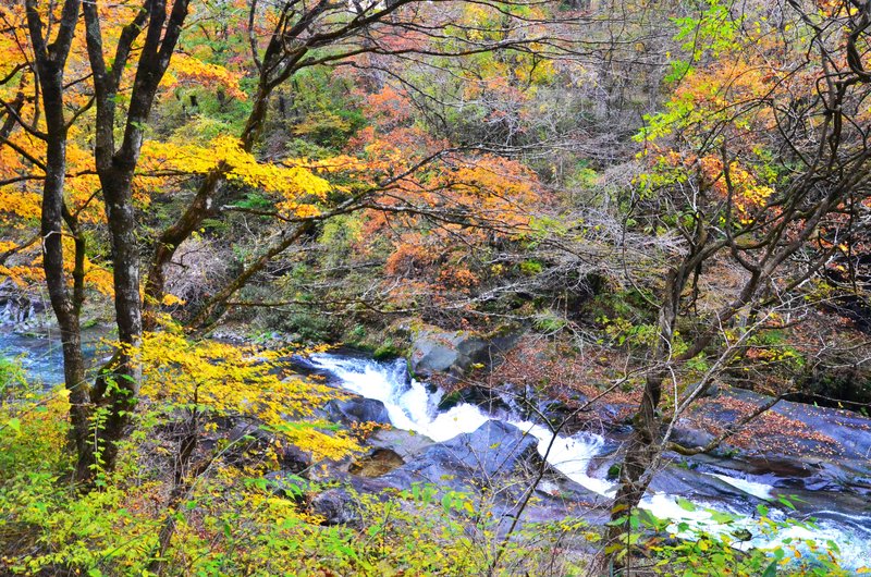 Abismo Kanmangafuchi-13-11-2024 - Japón y sus Pueblos-2024 (17)