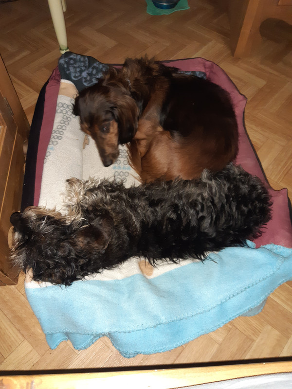 [Image: 20200725-210355.jpg]