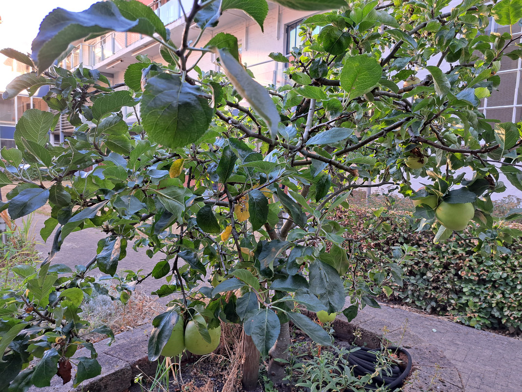 [Image: 20220807-072558.jpg]