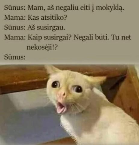 Paveikslėlis