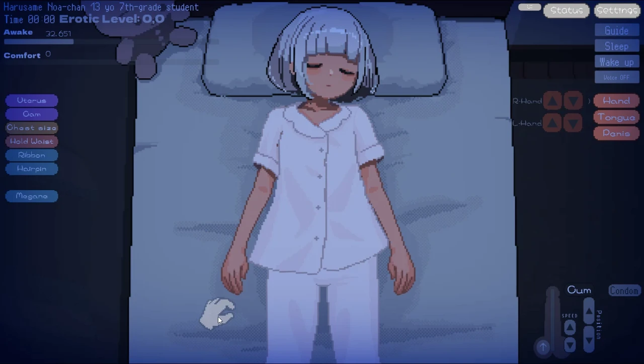 JK Flat Girl's Diary game