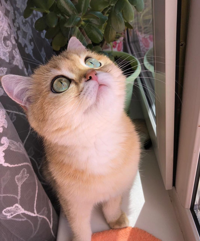 3EEABFD1-0035-47A1-B009-9F4E6CBB6D5C