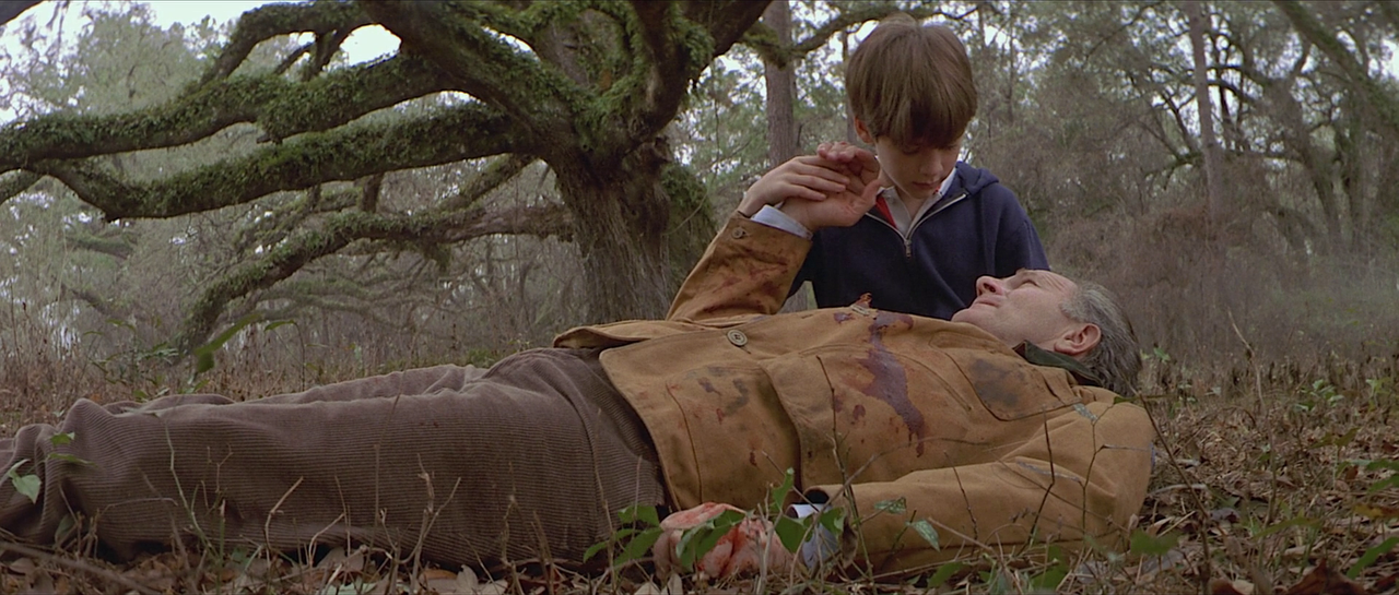 vlcsnap-2023-04-20-19h49m06s150