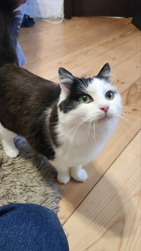 IMG-14471d13efb405724a06589c85a5fc1f-V