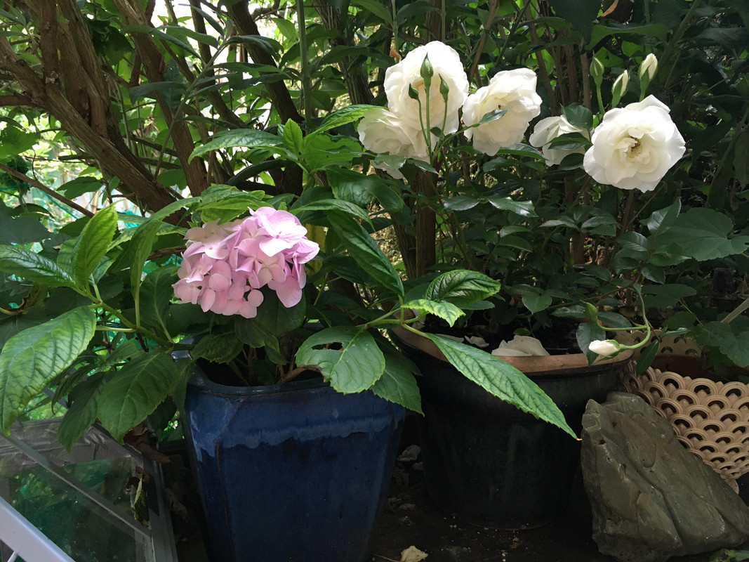 FBFCE8AB-7A98-493C-A676-50DC966F7A27