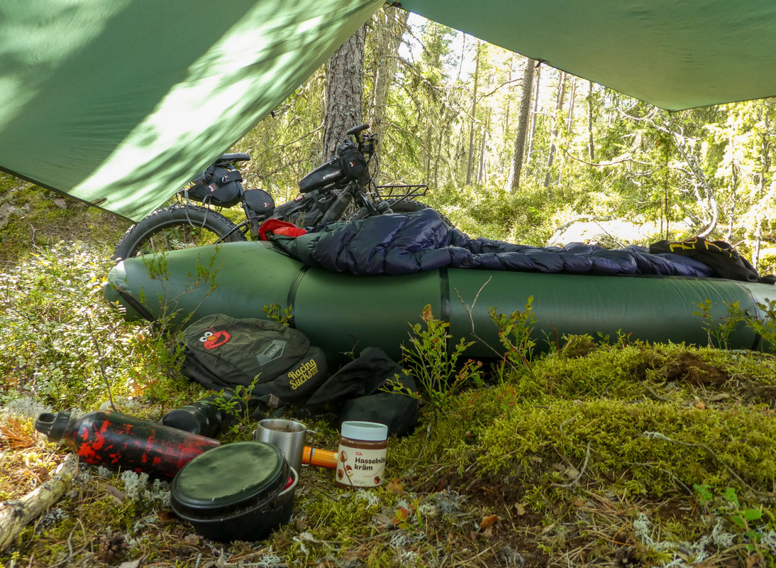 [Linket bilde fra i.postimg.cc]