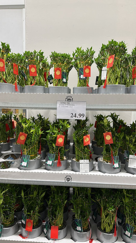 D8953DA8-2561-4C1D-9E38-016B4E9814E9