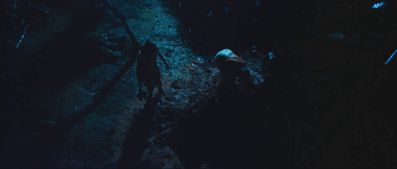 vlcsnap-2025-08-24-12h54m23s883