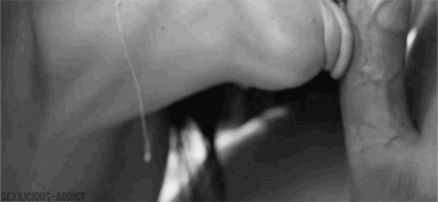 In-Shot-20240904-165104623.gif