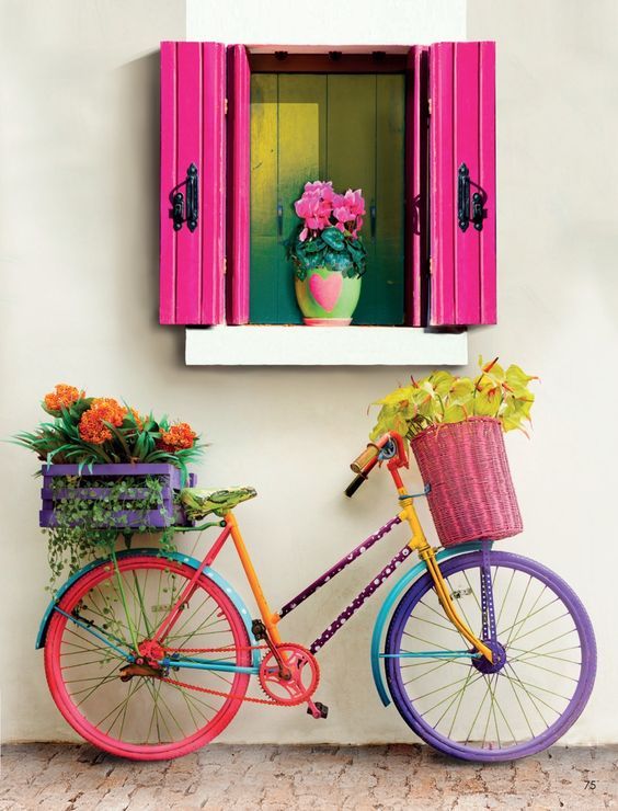 Multibikewindow.jpg