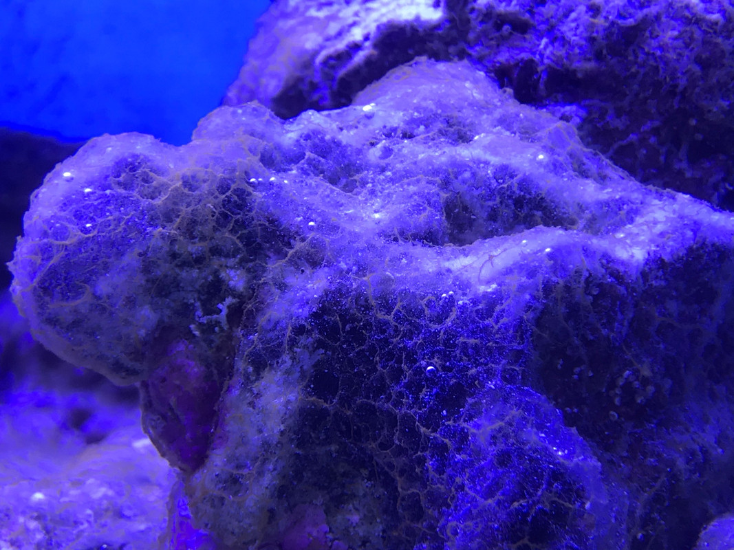 A03A2F60-6B2C-48FB-AAE1-ED08B57A463D