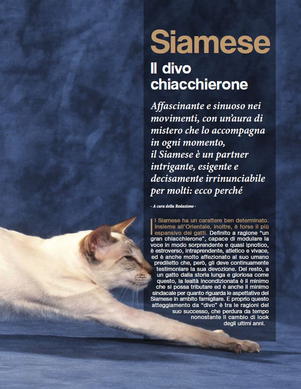 Argos Dic 2022-Gen 2023 (10)