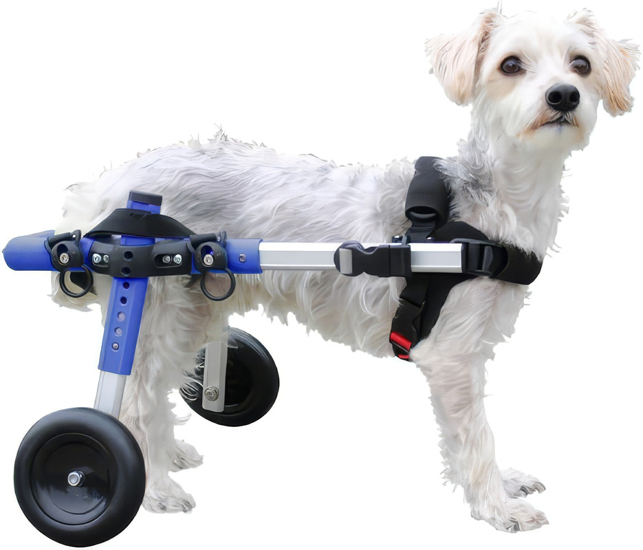 WALKIN' WHEELS SMALL DOG