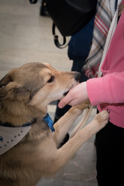 49063172-5280-47BE-B87F-86F58D7DAA18