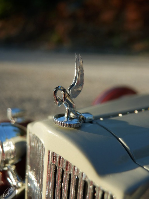 Packard Twelve Model 1107 Dietrich Convertible Victoria (37)