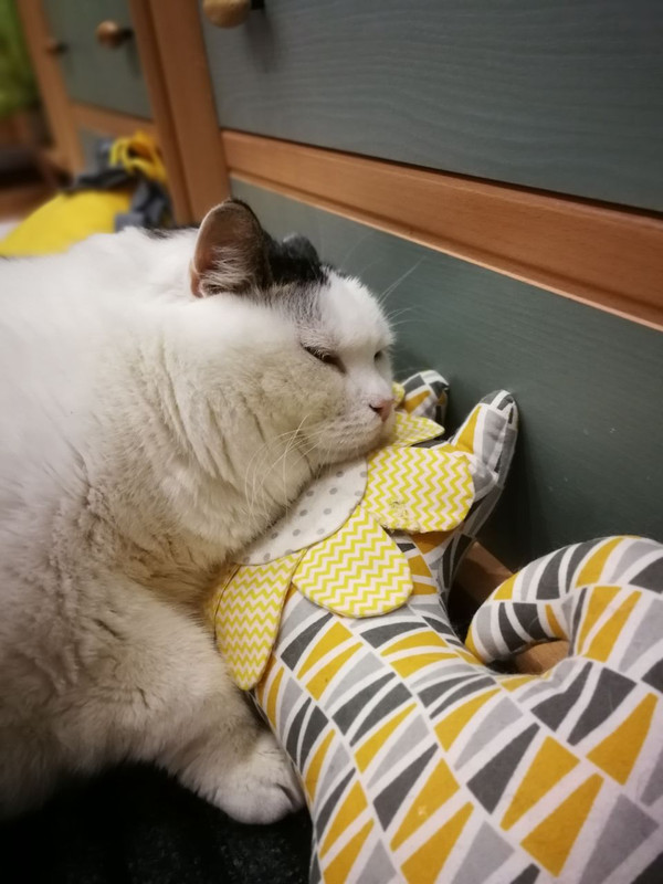 ED1E8C32-6EB4-443D-A0DD-ECDE5821F580