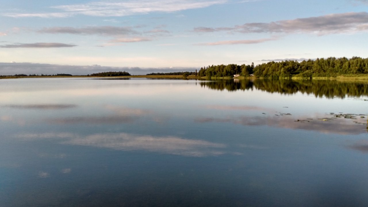 IMG_20210810_082550997_HDR