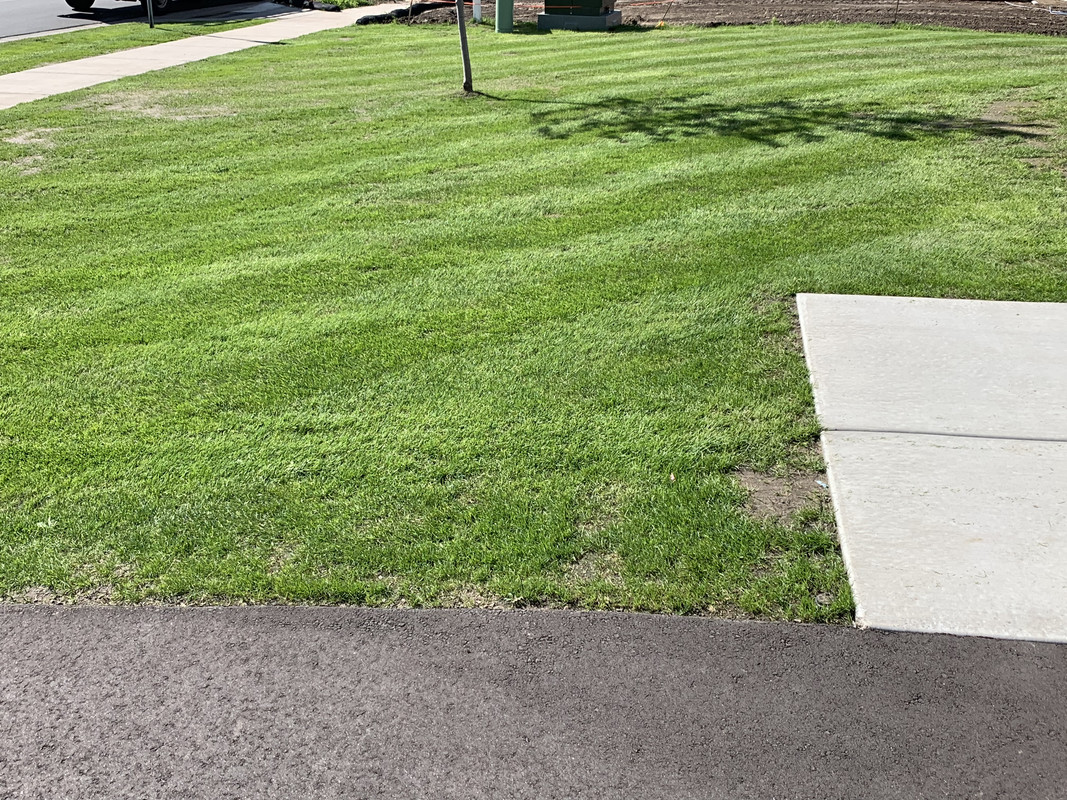 48B1AAE1-B993-4F52-A4BD-E4CD31215675