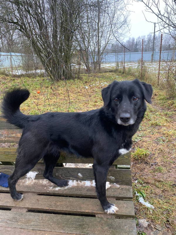 photo 2025 11 29 20 56 07