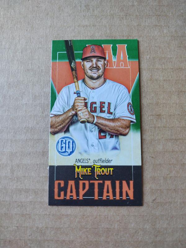 IMG_20210811_143611059