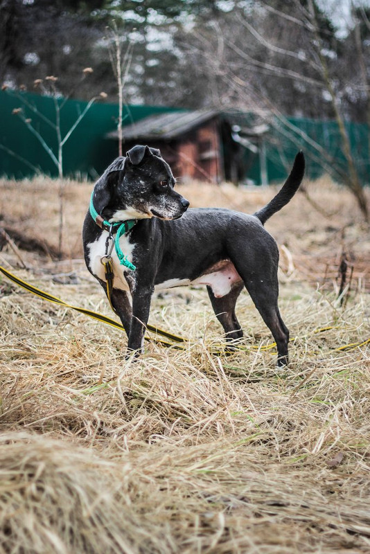 без имени-0431