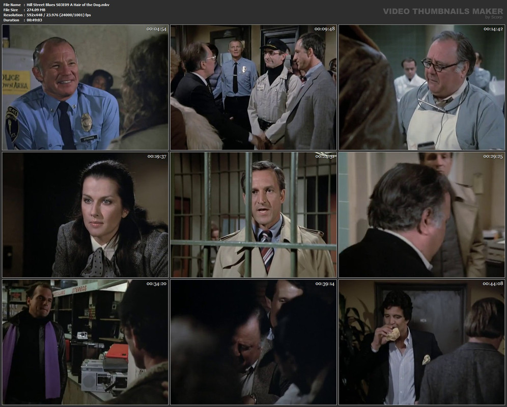 Hill Street Blues S03E09 A Hair of the Dog.mkv