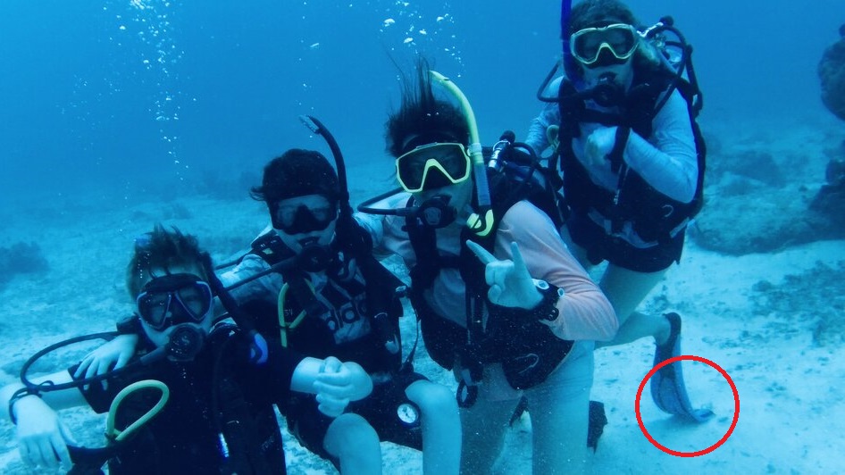 3-C7-D7656-02-A6-4392-AC0-C-B92-C74-C1-F