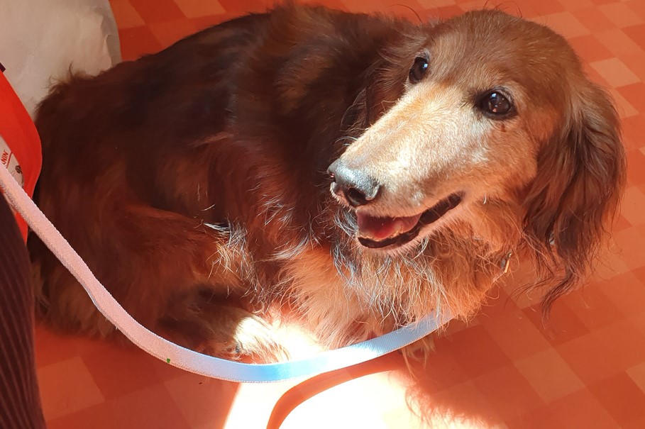 [Image: 20230802-142824.jpg]