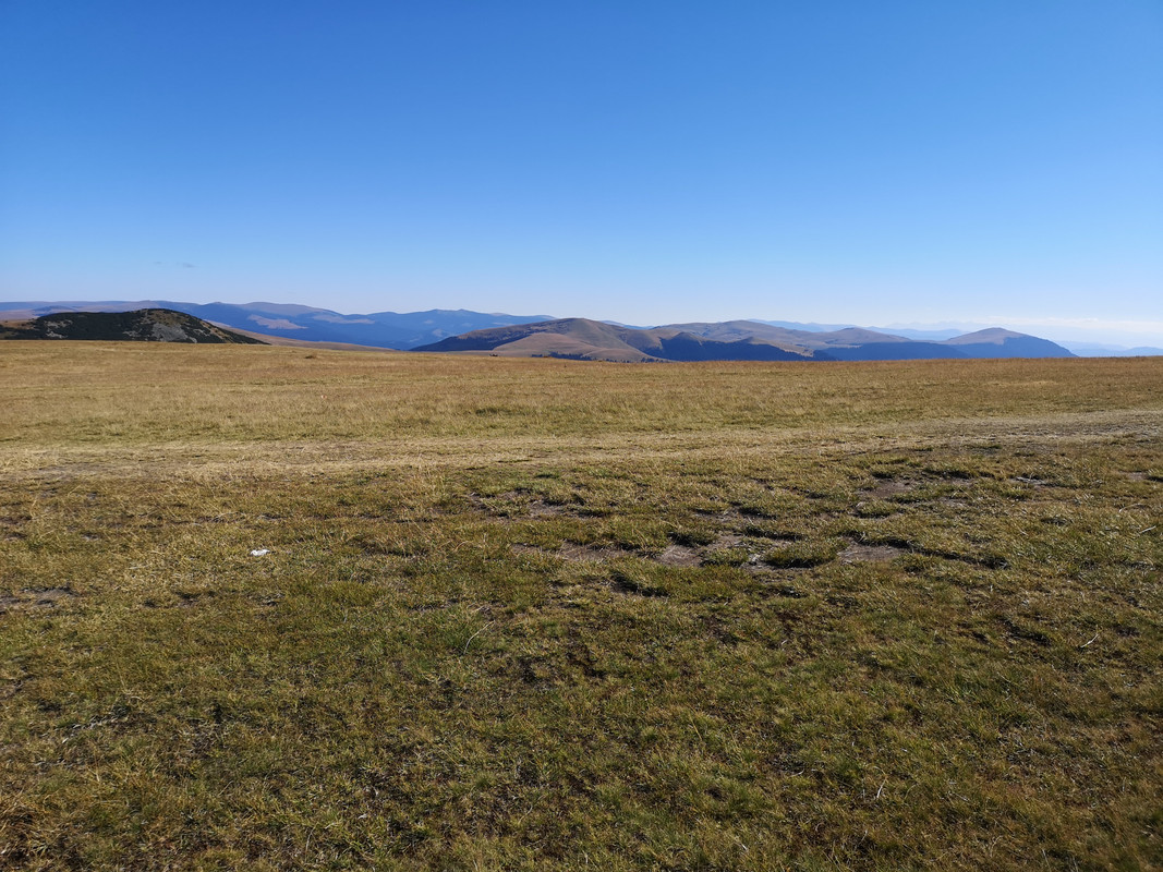 [Obrazek: IMG-20190819-095634.jpg]