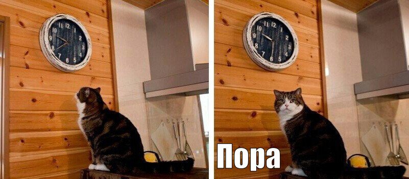 4IXH8xuow-FF4Ctr2x-WN8qjm26V0x-Hl-Wkxu-Q