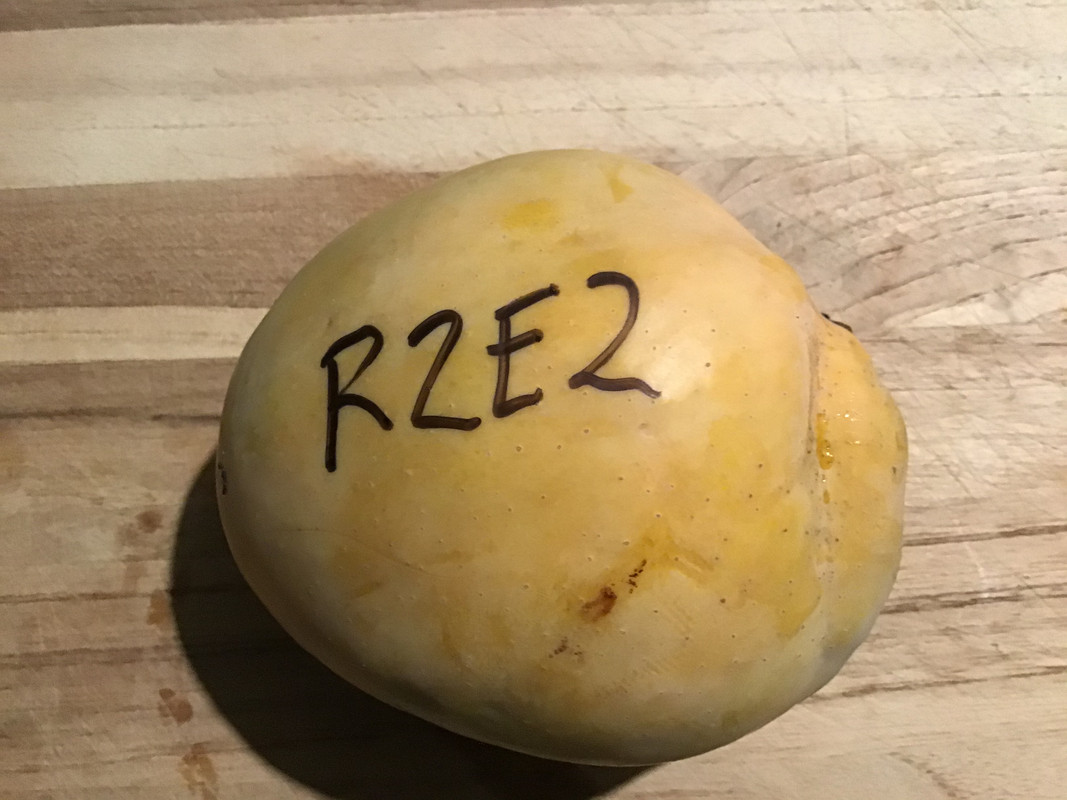 A482122C-CB3D-483F-84F2-98CF84656356