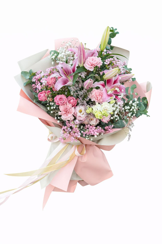 Whats App Image 2026 02 09 at 15 43 49 (3)