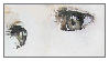 Untitled689 20260518223807