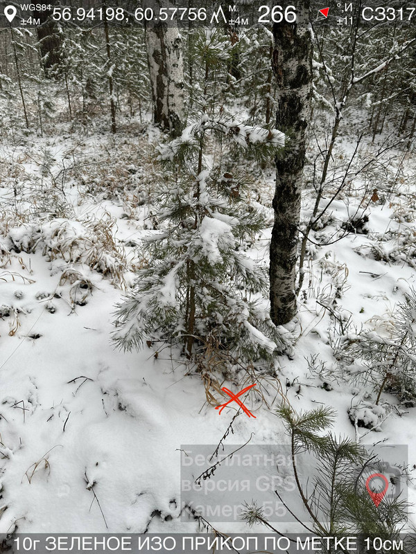photo 4 2025 12 10 19 08 05