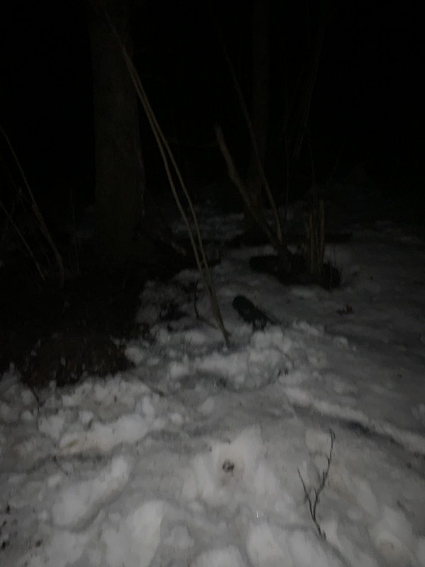 IMG 1890