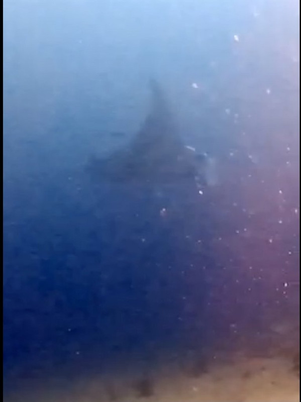 2E252261-7DB1-4B57-A638-EA9AA7DDDCDE