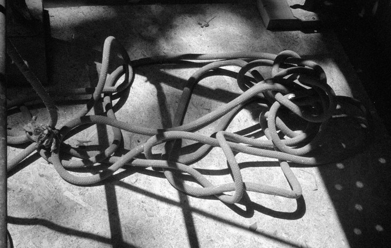 photo_8