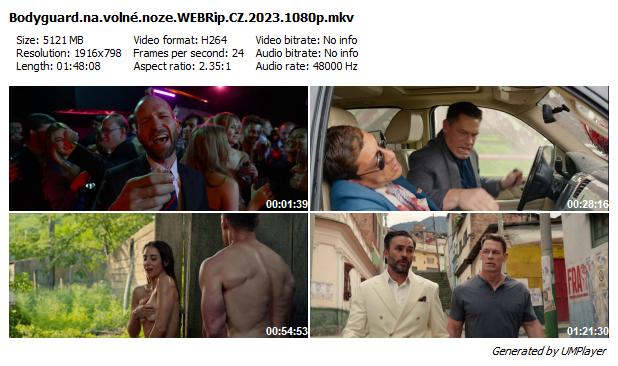 Bodyguard na volné noze / Freelance (2023)