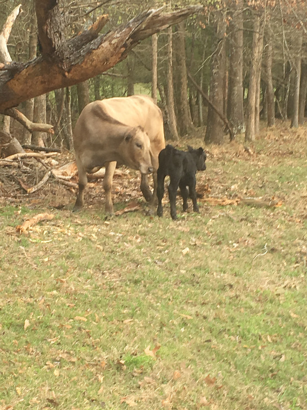 A7CAD30F-14CA-47AC-9F6B-2D80B52DEB7D