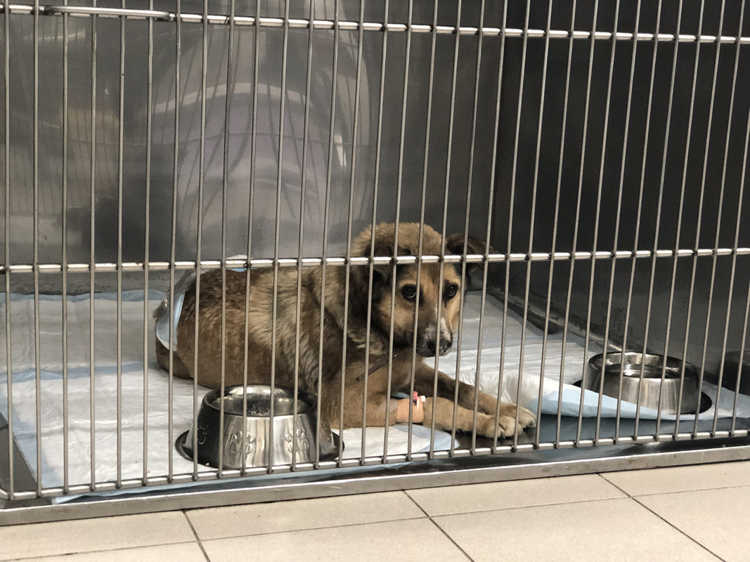 9AE58AB3-E4C3-481B-A8E0-69113C3F4B30